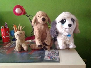 Perros by Rosario Ramirez