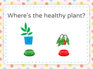 Plants by Jamie Vizcarra