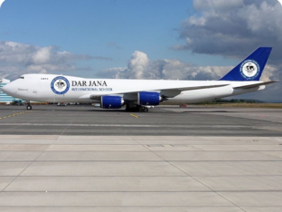 Polar Bear Day by Shaimaa Turkistani