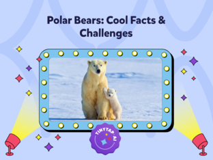 Polar Bears: Cool Facts & Challenges by Jim