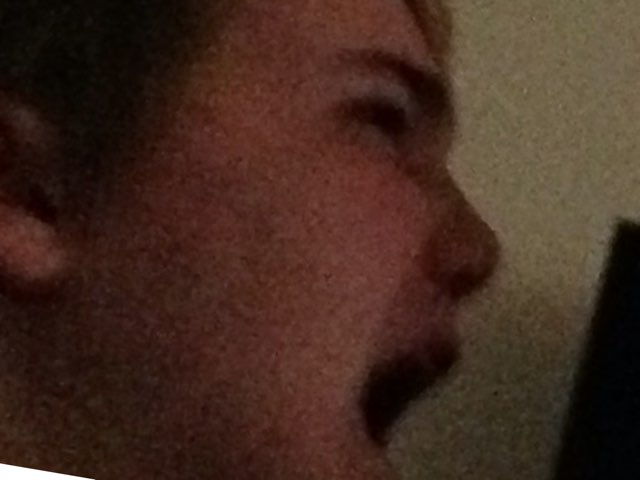 Popsical Pie by Reese Stichter