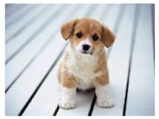 Practice by Angela Koenig