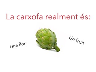 Prova Projecte by CEIP Angel Esteban Benicarló