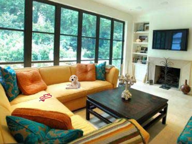 Puppy Care by Karlie Drounett