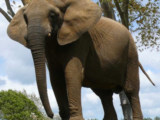 Puzzle by Enrique Blazquez rodríguez