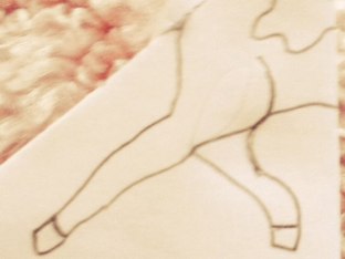 Que Pet Esta No Papel? by Beatriz Brandão