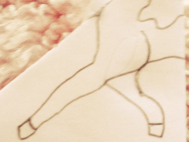 Que Pet Esta No Papel? by Beatriz Brandão