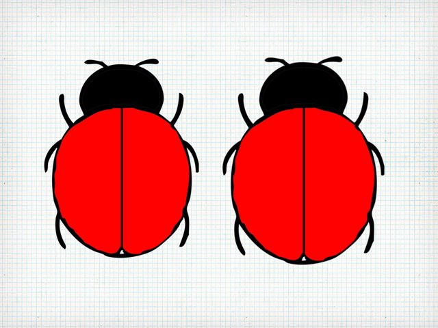 Quelle Coccinelle? by Anne Reis