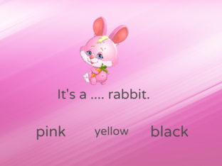 Rabbit by Thủy Lê
