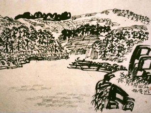 Radicals by Sara Chao