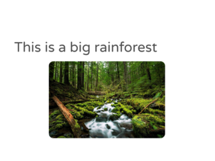 Rainforest puzzle by Hassan Husaain