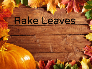 Rake Leaves by luv Aesthetics