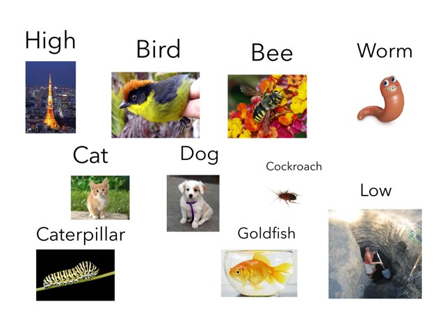 Random1 by Jonathan Graham