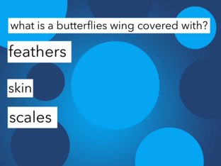 Rb 4 by maggie ellis