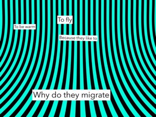 Rb 7 by maggie ellis