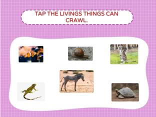 Recognizing the movement of Living Things by Jam Yuson
