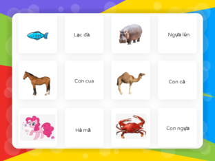 Revision with pronounciation by May