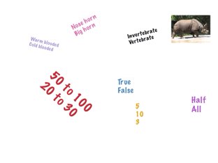 Rhinoceros  by Tracy Bye