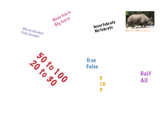 Rhinoceros  by Tracy Bye