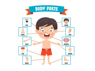 Ricomporre il corpo umano by Serafina Olmo