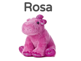 Rosa y Cafe by Marco Antonio Mr.Robles