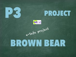 SAFAp3-BROWN BEAR by Marina Rodriguez