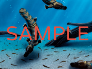 SAMPLE by GLaWAC Admin