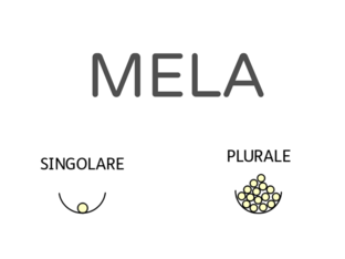 SINGOLARE O PLURALE? by Carla Del Conte