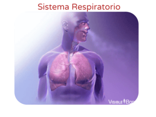 SISTEMA RESPIRATORIO by Vinia  Manzano