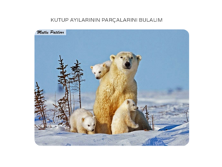 STEM İLE YOLCULUK ZAMANI by DİDEM ÇELEBİ