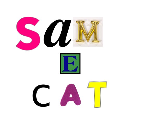 Sam E Cat by Curiosidades Curiosas