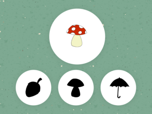 Schaduwen by elke vrancken