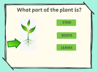 Science - plants  by Lucía Sáez García