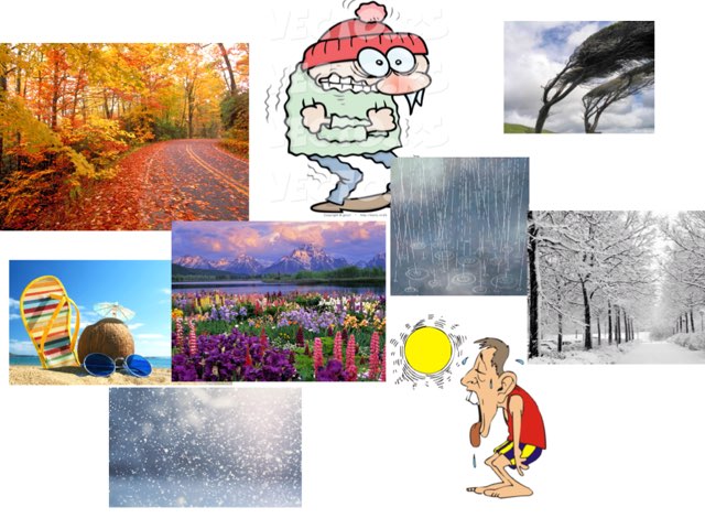 Seasons by Belinda Wu