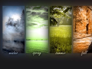 Seasons by Logan Plooster