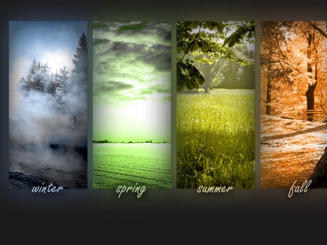 Seasons by Logan Plooster