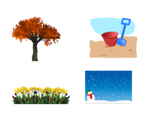 Seasons of the Year by Breanna