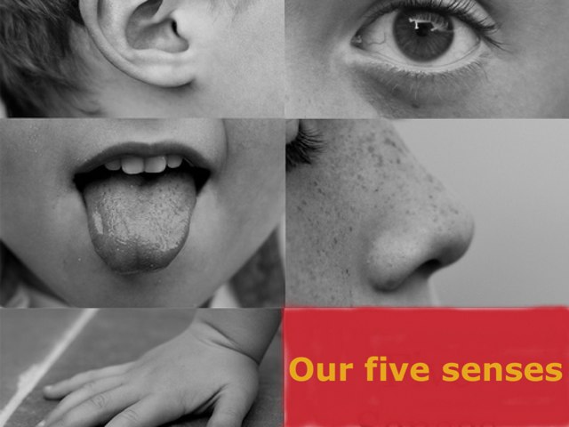 Senses by Sparkly Miller