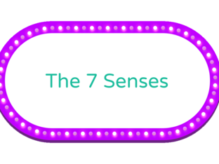 Senses Game  by 