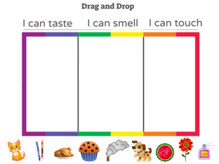 Sensory Sort by Jillian