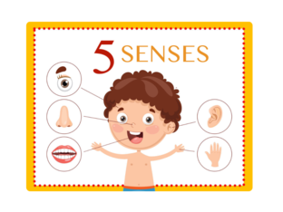 Sensory game by Lwandle