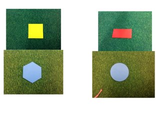 Shape Riddle by Leka DeGroot