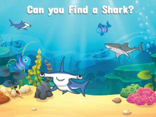 Shark AM by Sarah