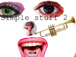 Simple Stuff 2 by Varya Watkins