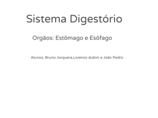Sistema digestório by Bruno jorquera