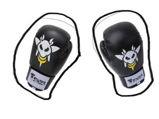 Sparring by Abi Smids