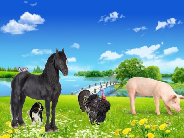 Spel 14 by KidsParents Xpectprimair