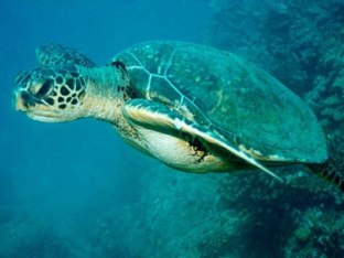 Spel 14 by KidsParents Xpectprimair