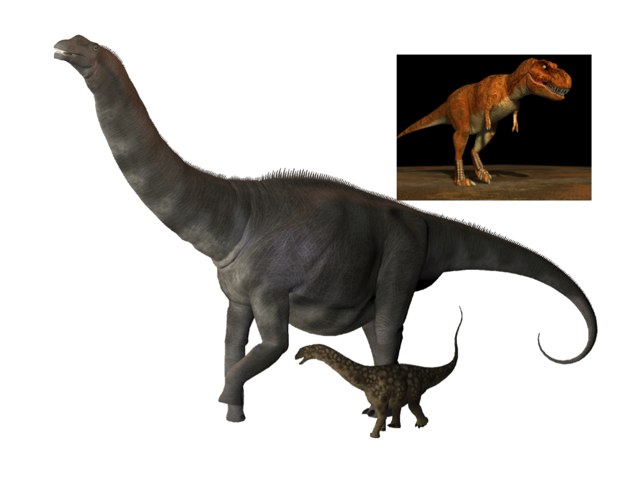 Spel 18 by Marc Soria