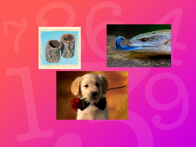 Spel 42 by Marc Soria